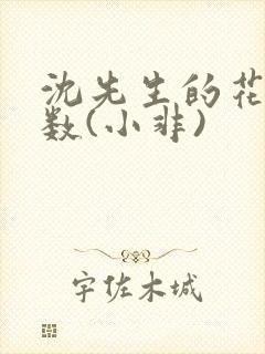 沈先生的花式调数(小非)