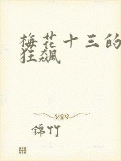 梅花十三的乳液狂飙