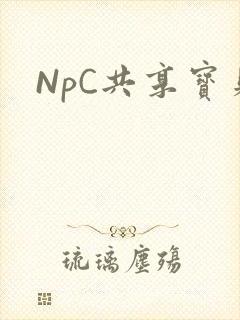 NpC共享宝贝