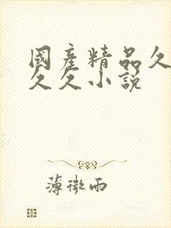 国产精品久久久久久小说