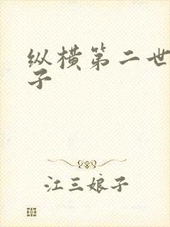 纵横第二世界宽子