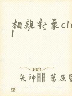 相亲对象c1v1