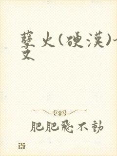 孽火(硬汉)今又