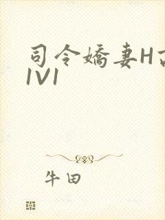 司令娇妻H高干1V1