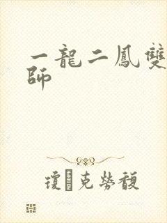 一龙二凤双飞老师