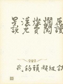 星汉灿烂原著小说免费阅读