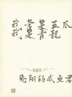 我爹是五爪金龙我是青龙
