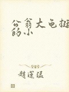 公翁大龟挺进我的小