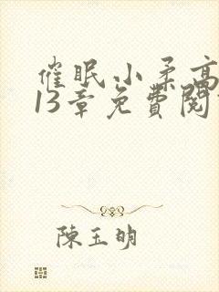 催眠小柔高达第13章免费阅读