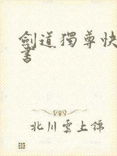 剑道独尊快眼看书