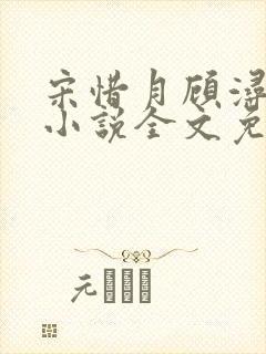 宋惜月顾浔渊的小说全文免费阅读