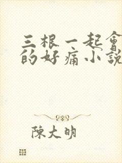 三根一起会坏掉的好痛小说