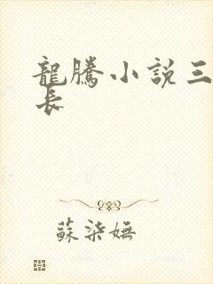 龙腾小说三宝局长