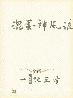 混蛋神风流