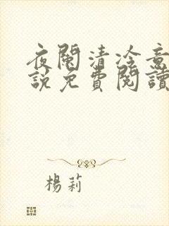 夜阑清冷意欢小说免费阅读