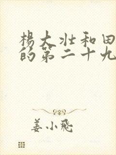 杨大壮和田桂花的第二十九