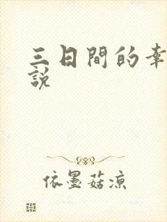 三日间的幸福小说