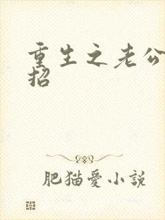 重生之老公请接招