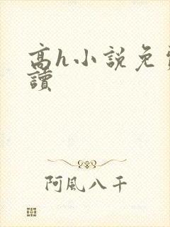 高h小说免费阅读