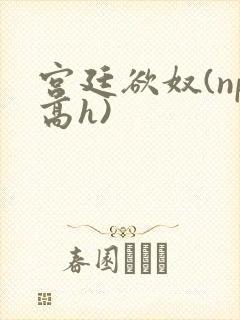 宫廷欲奴(np高h)