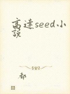 高达seed小说