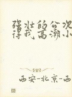 强壮的公次次弄得我高潮小说