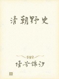 清朝野史