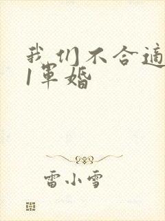 我们不合适1v1军婚