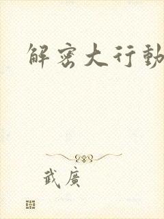解密大行动