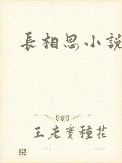 长相思小说原著
