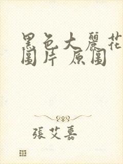 黑色大丽花真实图片 原图