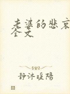 老婆的悲哀小说全文