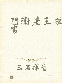 门卫老王破校花处