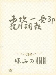 两攻一受3p双龙H调教