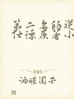 第二名的逆袭高仕德原著小说