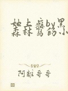 她上瘾by黑暗森林写的小说免费阅读无弹窗