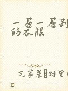 一层一层剥开你的衣服