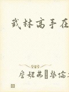 武林高手在异界