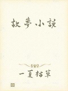 故梦小说