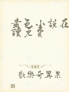 黄色小说在线阅读免费