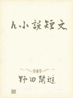h小说短文