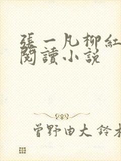 张一凡柳红免费阅读小说