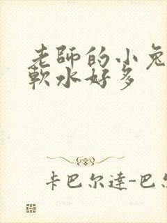 老师的小兔子好软水好多