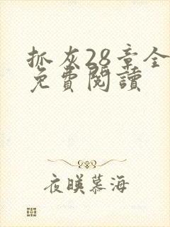 抓灰28章全部免费阅读