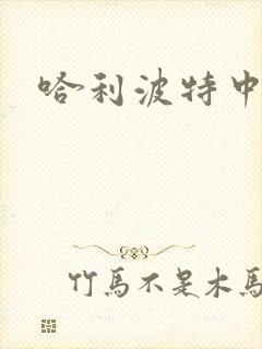 哈利波特中文版