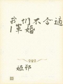 我们不合适1v1军婚