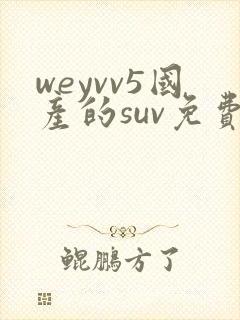 weyvv5国产的suv免费