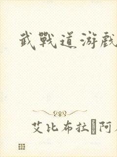 武战道游戏