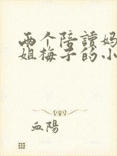 两个陪读妈妈赵姐梅子的小说