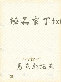 极品家丁txt